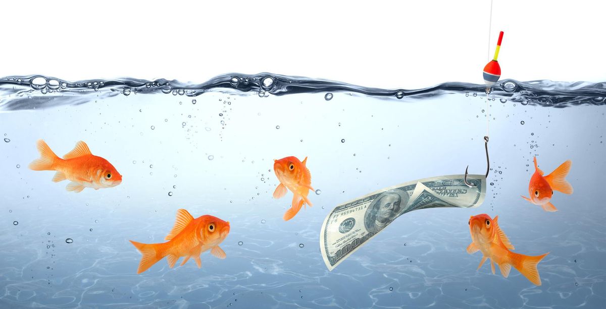 goldfish in danger - dollar as bait - concept deception