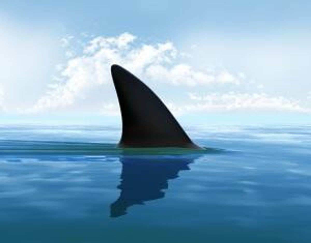 Jaws’ 40th Anniversary Marks the Moment Cinema Became Big Business