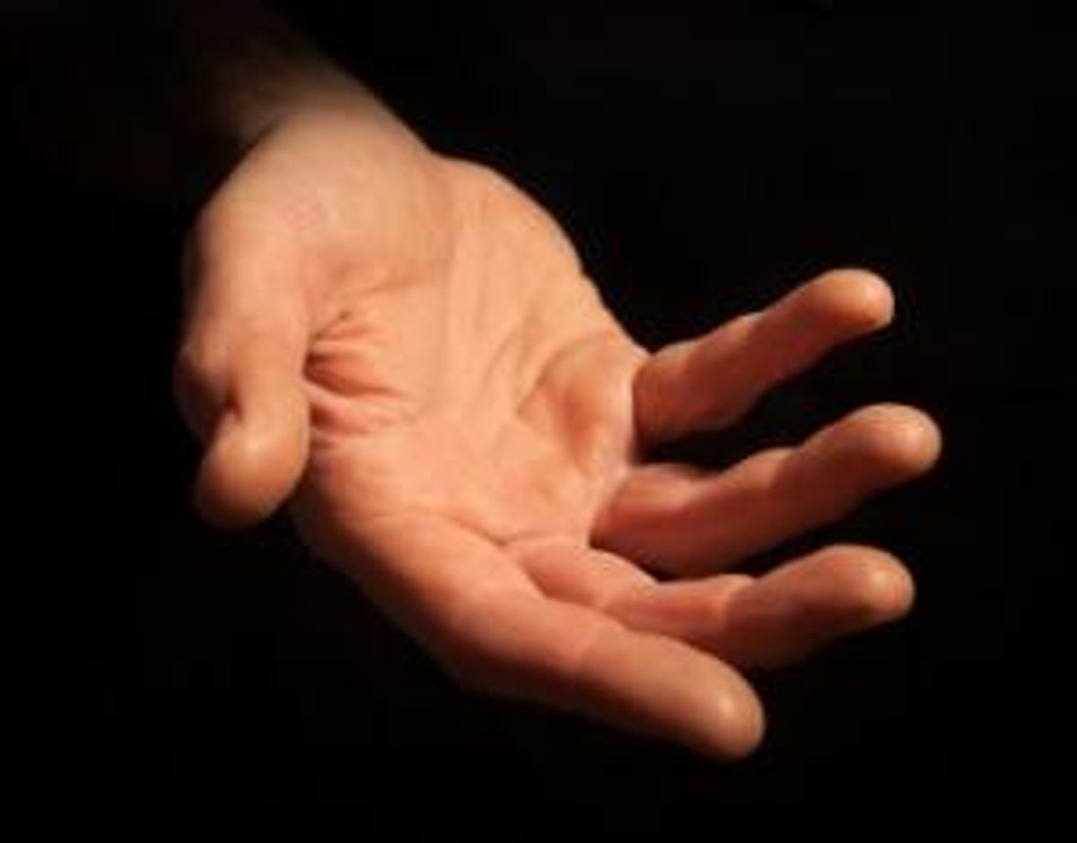 The True Value of Mentorship