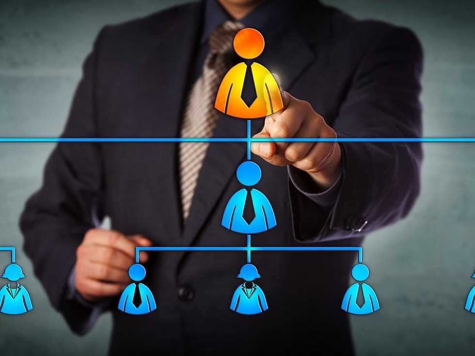 organization structure